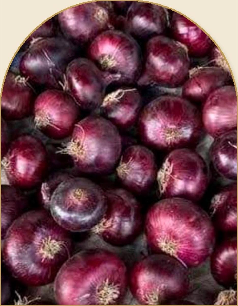 Deep red Egyptian onions